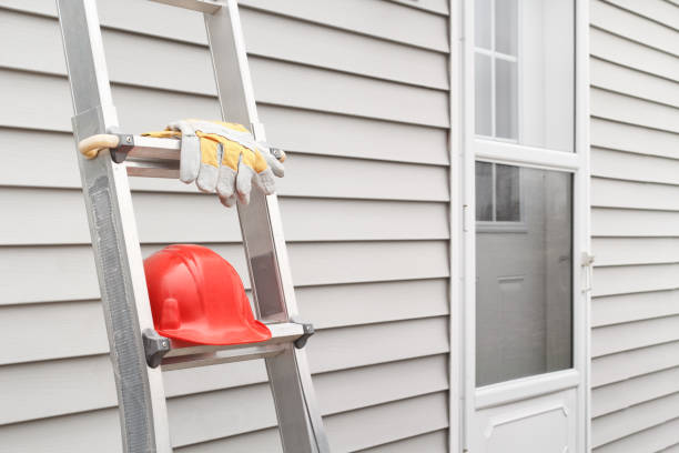 Best Residential Vinyl Siding Installation  in El Jon, CA