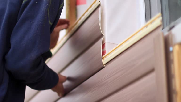 Best Insulated Siding Installation  in El Jon, CA